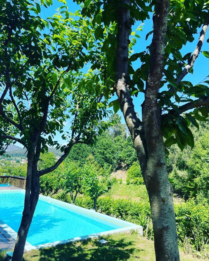 Quinta Das Ameixas - Country & Nature Arouca Bagian luar foto