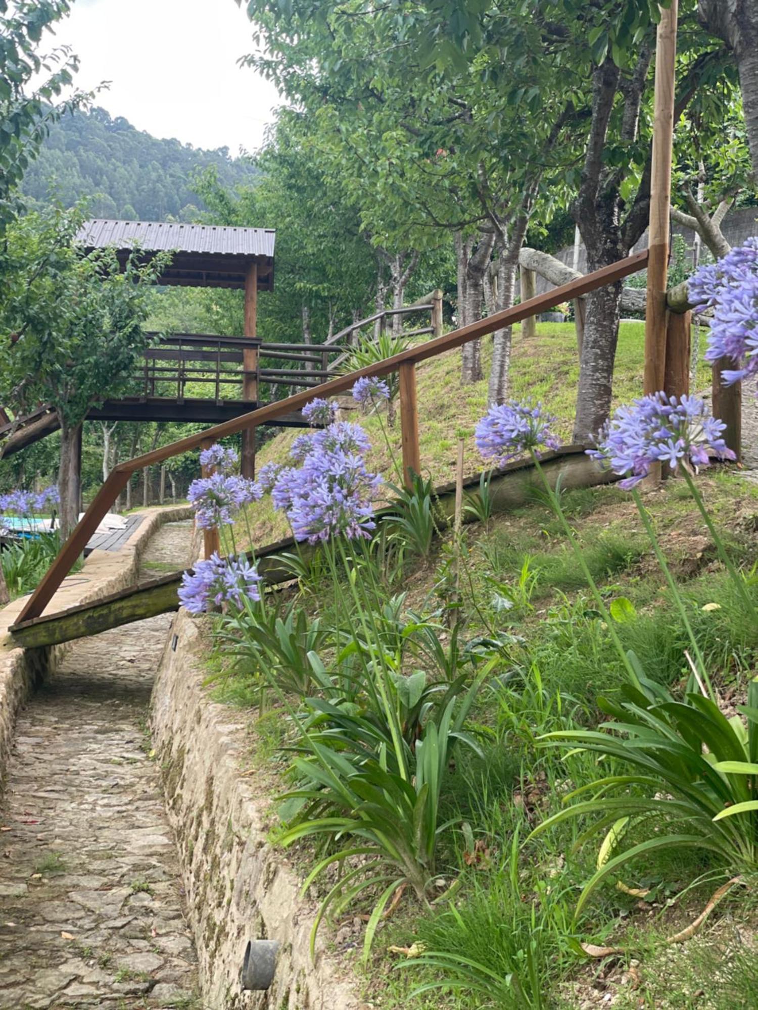 Quinta Das Ameixas - Country & Nature Arouca Bagian luar foto